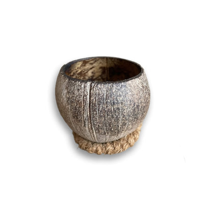 kokosnoot small 6 met gratis kokosring